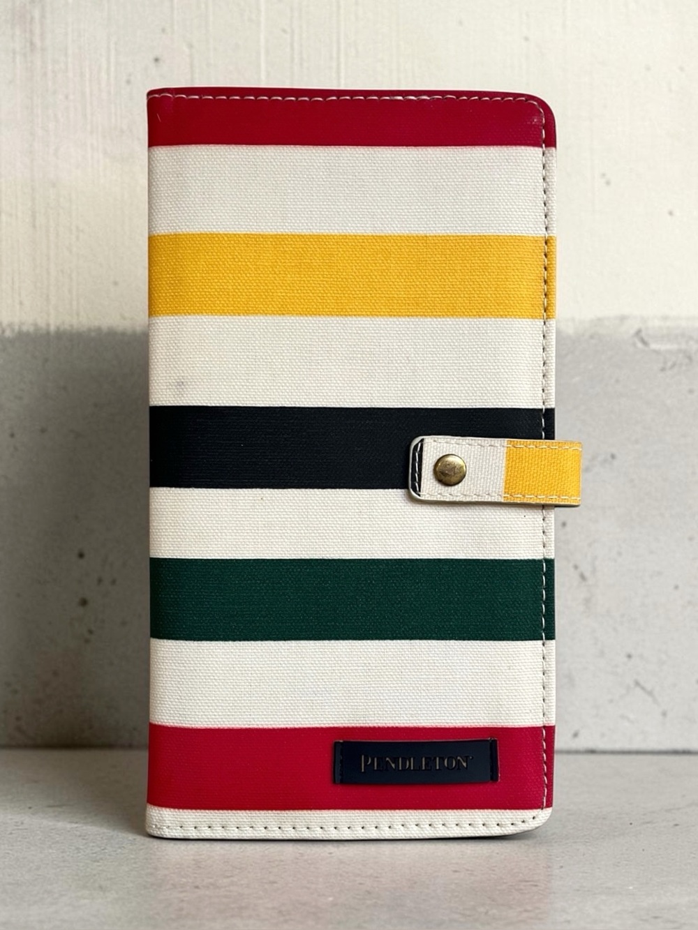 RARE Pendleton Glacier Canopy Canvas Passport Case